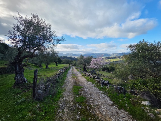A magical landscape. Photo © Karethe Linaae